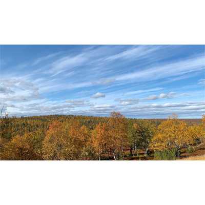 The peak of “ruska”!! Right now we can admire the intense colors of autumn. Lapland is so famous of its beauty during this time of the year, we even have a special word for it in Finnish 🧡💛🍂🍁🍄 Enjoy the RUSKA as much as you can everybody!  #ruska #autumn #autumnvibes🍁 #nature #naturephotography #naturelovers #landscape #landscapephotography
#outdoors #wanderlust #explore #getoutside #wondermore #lapland #finland #visitlapland #lappi  #ourlapland #explorefinland #finnishmoments #ourfinland #lovelyfinland #onlyinlapland #laponie #finlandia #finland #suomenluonto #thisisfinland #munlappi #inari